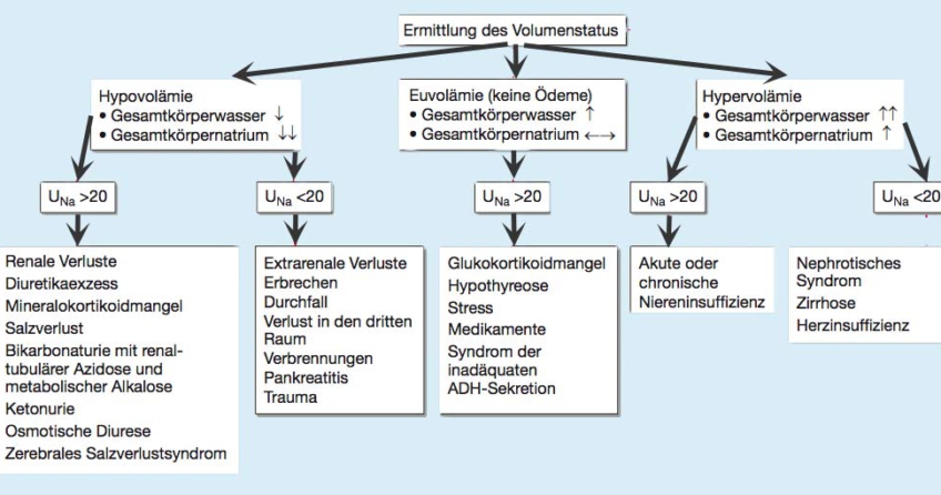 Wasser Und Elektrolythaushalt Archive Laborwert Info