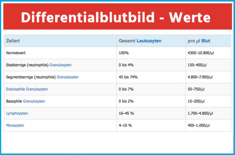 ᐅ Was ist ein Blutbild Erklärung alle Werte und Bedeutungen